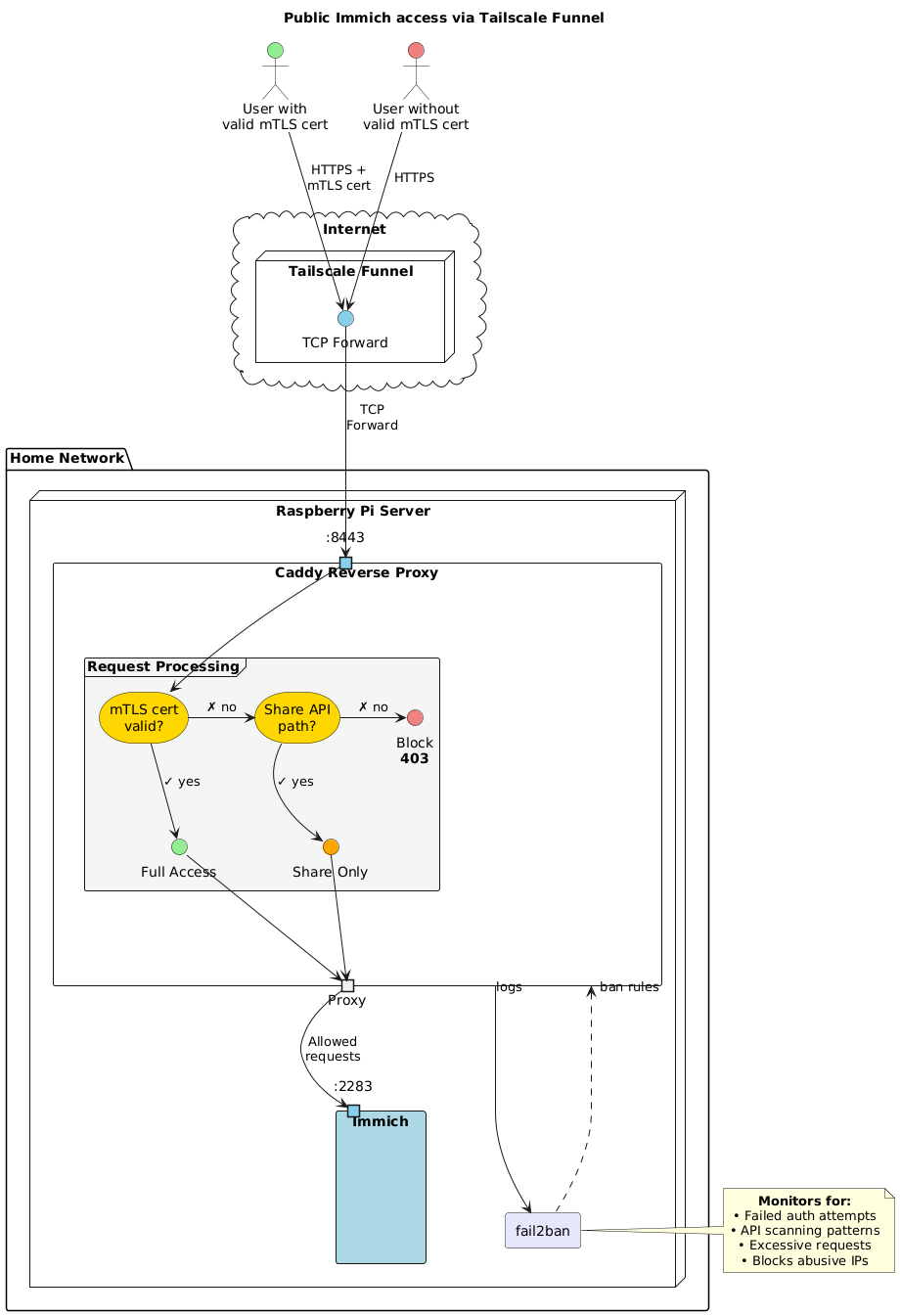 public-immich-access